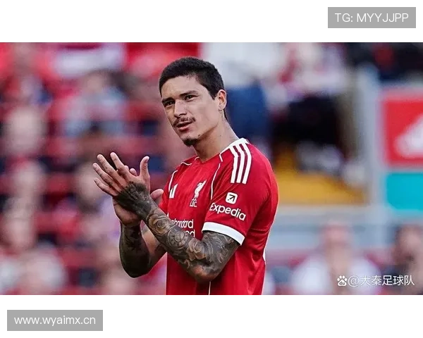 努涅斯高价转会后的期待与现实落差分析