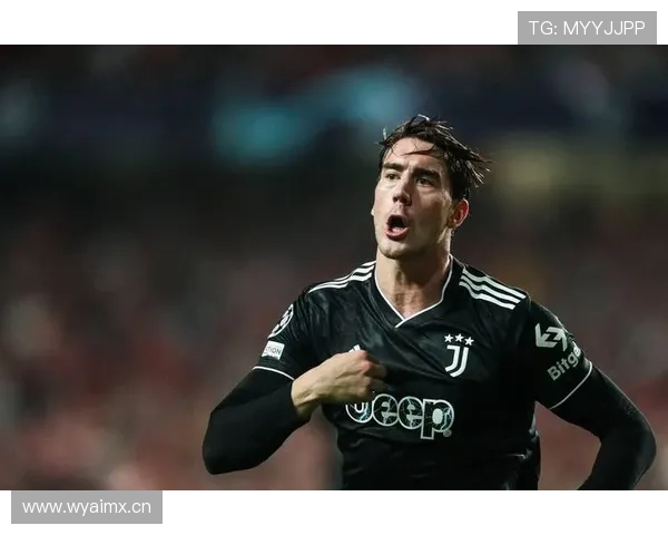 从贝尔格莱德少年到意甲顶级射手：弗拉霍维奇的崛起之路